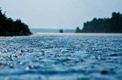 الري: نصيب الفرد من المياه أقل من الحد العالمي للفقر