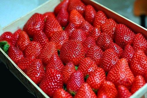 الزراعة: أميركا لم تبلغنا بنقل الفراولة المصرية لـ “فيروس C”