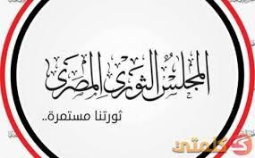 المجلس الثوري المصري : مرسى الرئيس الشرعى للبلاد