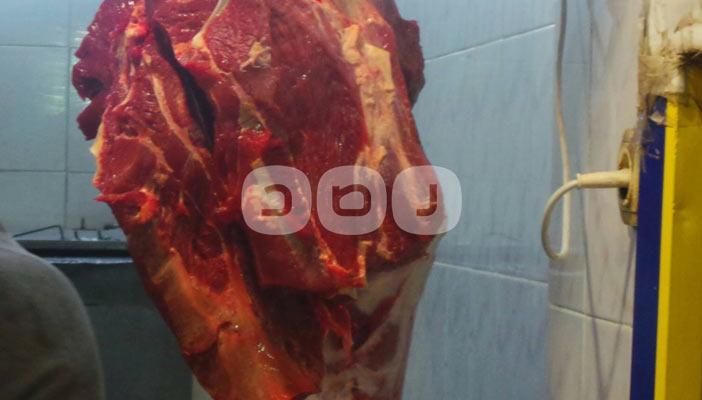 أسوان تشارك في “بلاها لحمة”.. والأهالي: “الأسعار كلها غالية نار”