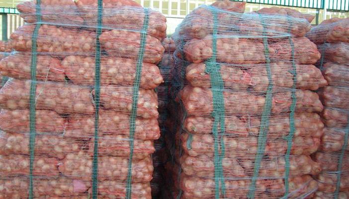 البصل المصري يغزو الهند