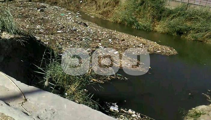 النيل بأسيوط يشتكي التلوث بسبب مخلفات الحكومة وقمامة الأهالي