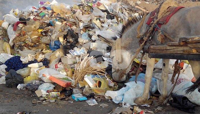 قمامة المدينة يتحملها سكان القرى بمحافظة ‫‏قنا‬ وسط استياء الأهالي