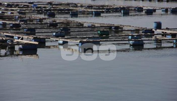 “فيروس c” ينهش في أبدان أهالي كفر الشيخ بسبب تلوث مياه الشرب