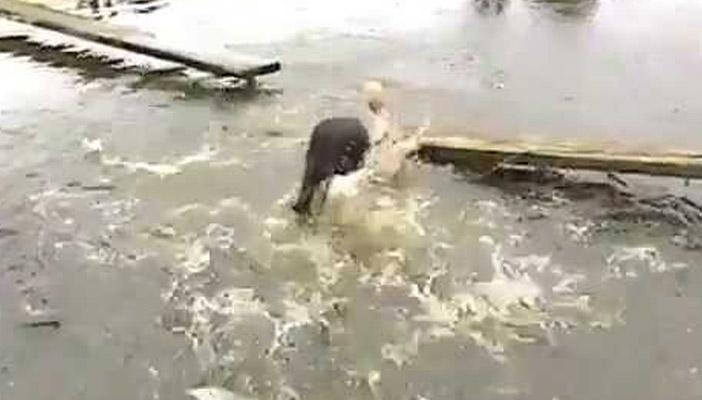 بالفيديو..  سقوط مذيعة يابانية على الهواء  في بحيرة أسماك