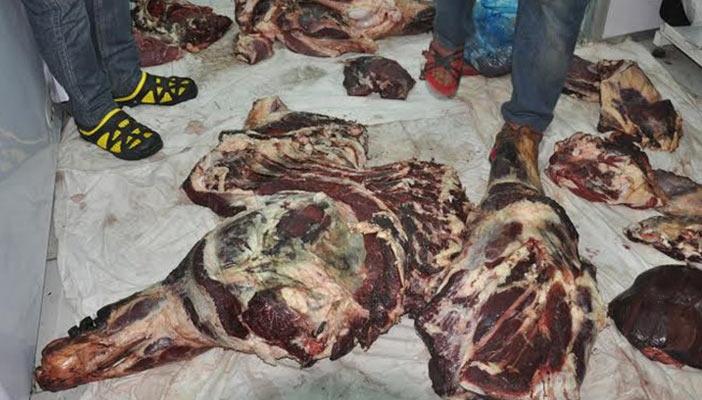 ضبط 475 كيلو لحومًا فاسدة في حملة تموينية بأسيوط