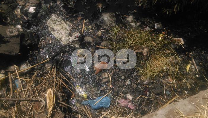 ‏تراكم القمامة في قرية بقلولة.. والأهالي: أصحاب التكييف لا يشعرون بنا