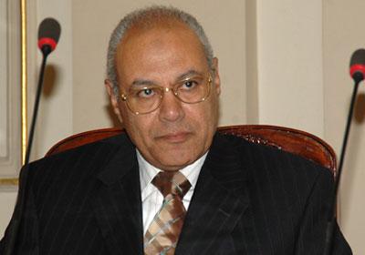 العوا:لا مبرر لإنكار الإعلام حقيقة حجم التظاهرات الضخم