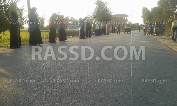 حشدًا لـ9 سبتمبر.. سلسلة بشرية في السنطة بالغربية