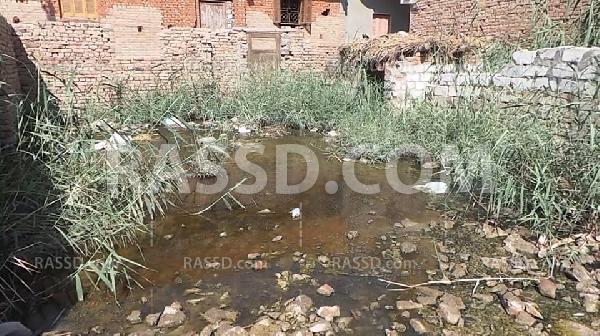 مياه الصرف تغرق المنازل بـ”الأعلام” في الفيوم