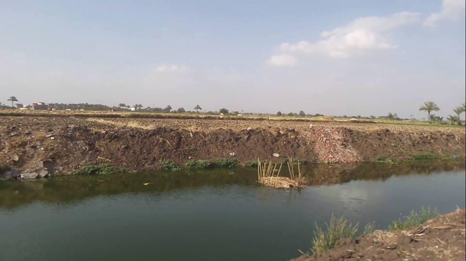 أهالي الشرقية يستغيثون من كارثة تربية الأسماك فى المصارف وبيعها