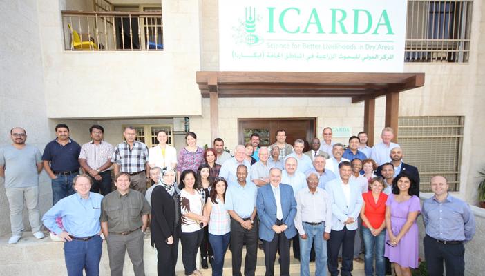 “إيكاردا” يتوقع ارتفاع فاتورة استيراد الدول العربية للغذاء بنسبة 100%