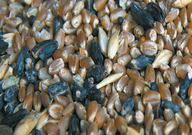 بلومبرج: شركة رومانية تطالب مصر بنصف مليار دولار تعويض بسبب” الإرجوت”