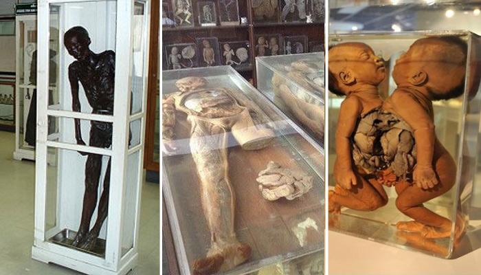 يمكنك زيارة الموتي بعيدا عن القبور.. فقط في “متحف سيريراج”