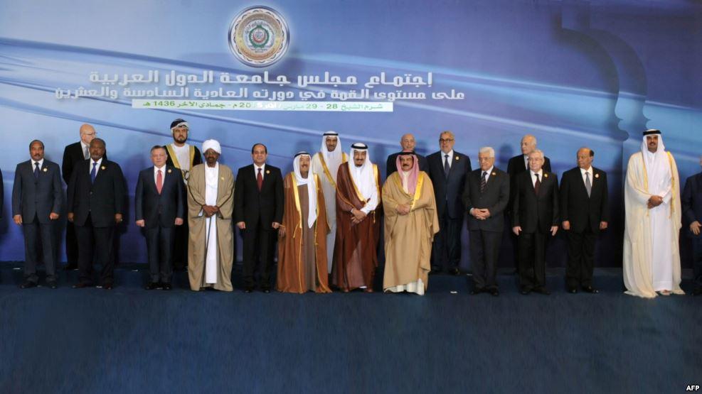 يناير المنقذ – محمد محسوب