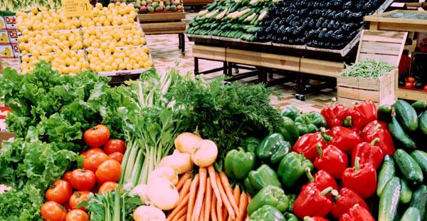 الصادرات الزراعية لـ”روسيا” ترتفع لـ 13 مليار في عهد مرسي