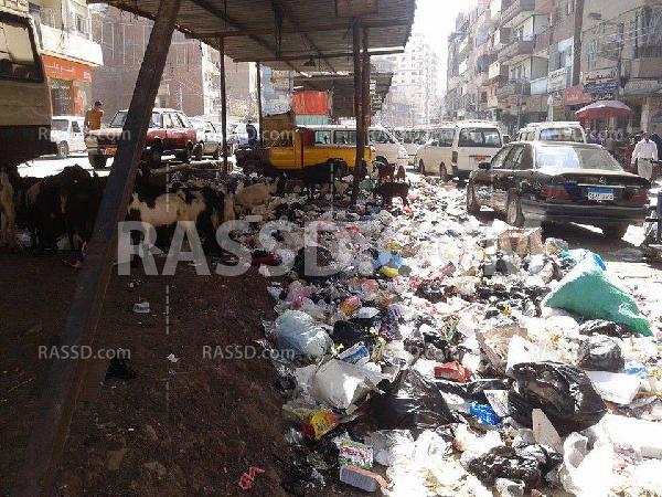 شارع الدراسات بالمنصورة.. سلاح  ومخدرات وقمامة