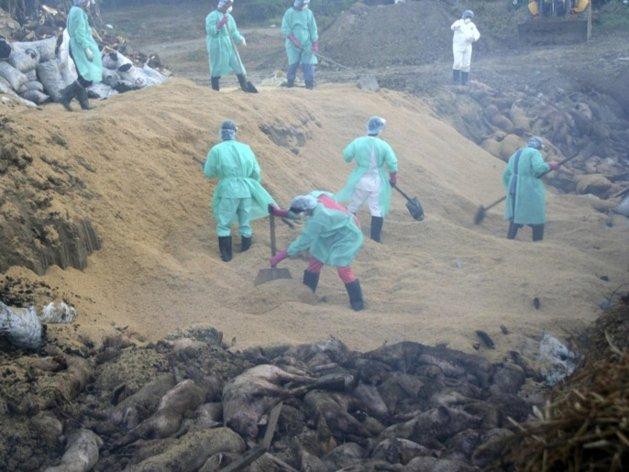 تسجيل 700 إصابة بـ”إيبولا” الأسبوع الأخير