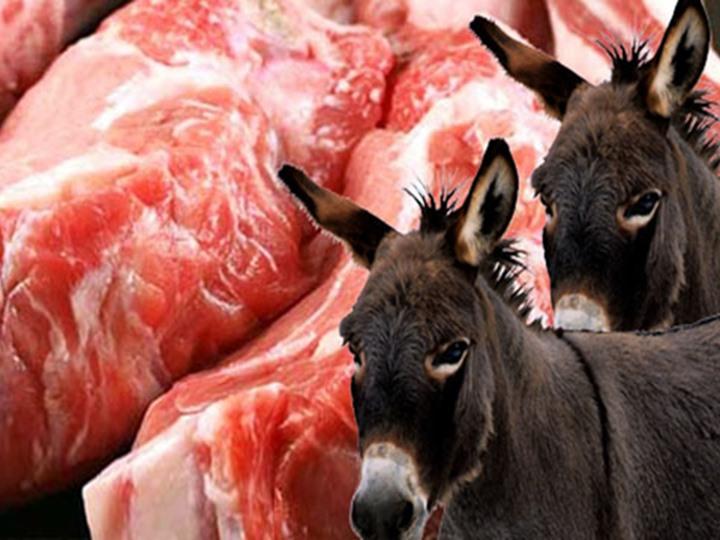 بالفيديو..”التصديري للجلود” يكشف علاقة ذبح الحمير بوزير الصناعة