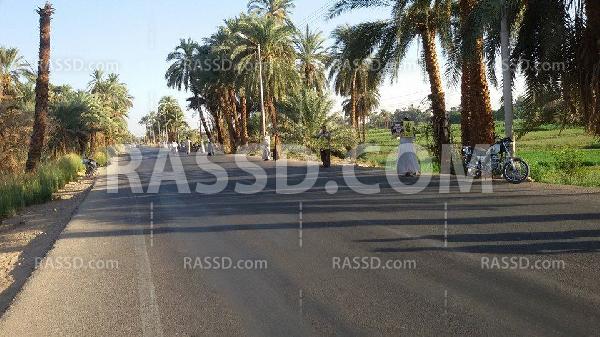 سلسلة بشرية لرافضي الانقلاب بـ”الأقصر”