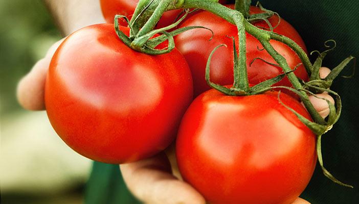 دراسة: الطماطم تقلل من فرص الإصابة بسرطان البروستاتا بنسبة 18%