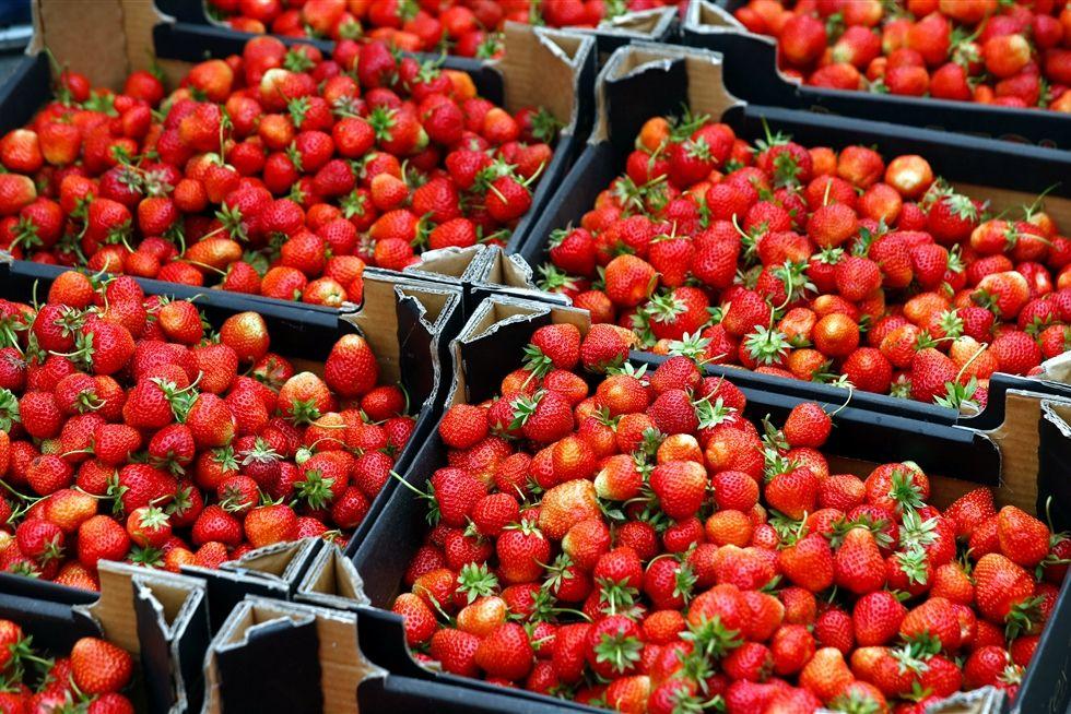 الكويت تمنع دخول الفراولة المصرية ومنتجات الخضار