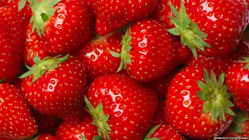 تعويضات بمئات آلاف الدولارات بسبب الفراولة المصرية المسممة