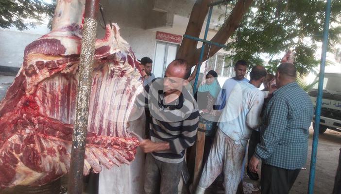 ارتفاع أسعار اللحوم قبل العيد.. والفقراء: بلاها لحمة نقضّيها فراخ