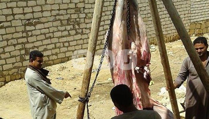 غلاء بأسعار الجزارين في الفيوم