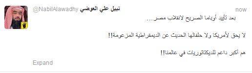 العوضي:لا يحق لأمريكا بعد تأييد الانقلاب الحديث عن الديمقراطية