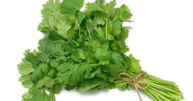 تزيد من مستويات الطاقة.. تعرف على 5 فوائد للكزبرة