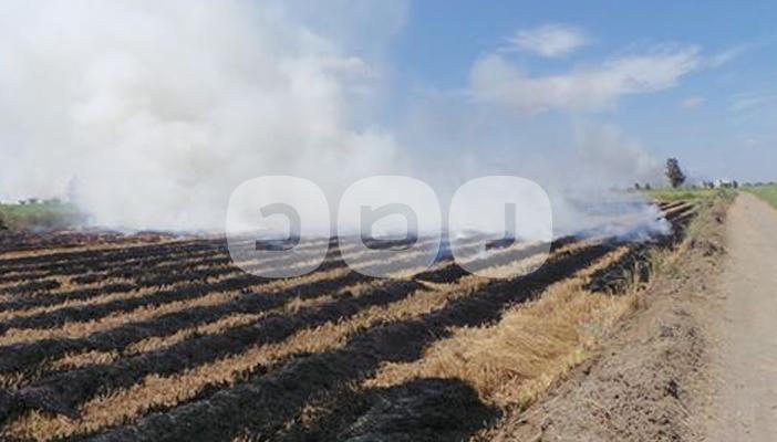 حرق قش الأرز في دمياط.. والمزارعون: الحل عند الحكومة