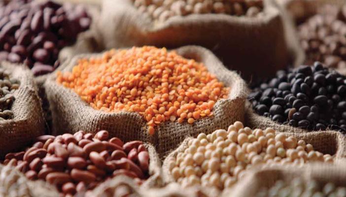 بالفيديو.. 10 حقائق غير معروفة عن البقوليات