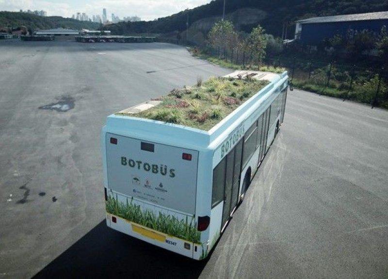 بدء نقل الركاب في إسطنبول بحافلات “بوتوباص” بسقف نباتي