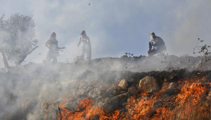 مستوطنون يهود يحرقون أراضٍ بنابلس