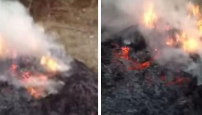 بالفيديو.. خليجي يحرق هنديا في مزرعته لأنه رجل صالح