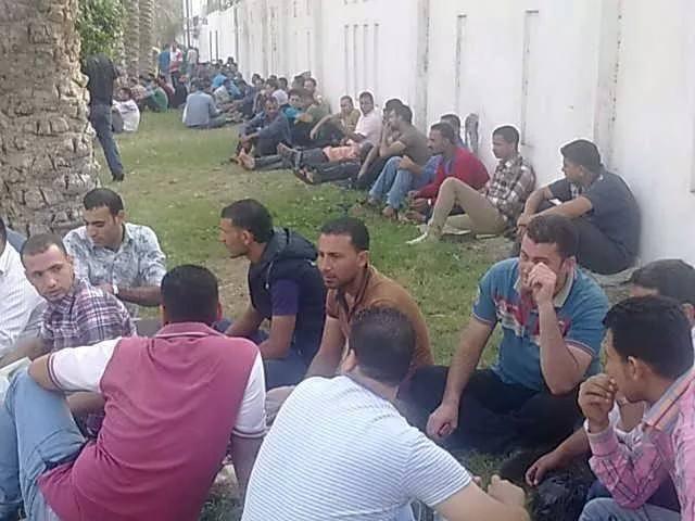 استمرار اعتصام العاملين في افكو لليوم الثاني على التوالي