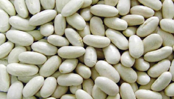 إجراءات لفحص شحنات “الفاصوليا” المصدرة للخارج للتأكد منها