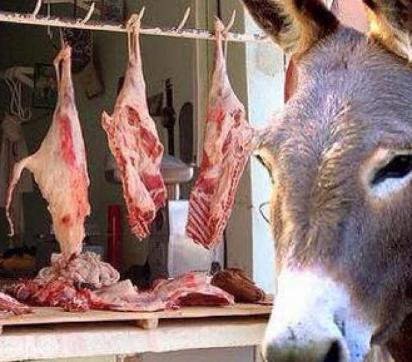 بالفيديو..” البيطريين” : كل المواطنين أكلوا لحوم حمير بنسبة 100%