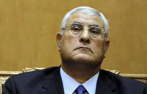 مؤيدو الإنقلاب: عدلى منصور طرطور ولا يصلح للبرلمان