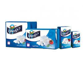 شركة “دومتي” تطرح أسهمها في البورصة المصرية