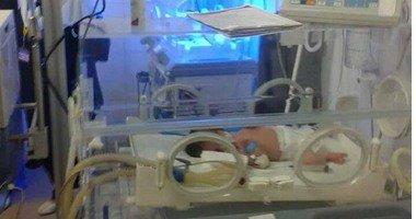 بعد 9 سنوات بدون إنجاب.. سيدة بالغربية تضع 5 توائم