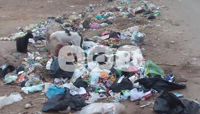 بالصور.. إضراب عمال النظافة يحول “أبو كبير” إلى مقلب كبير لـ”الزبالة”