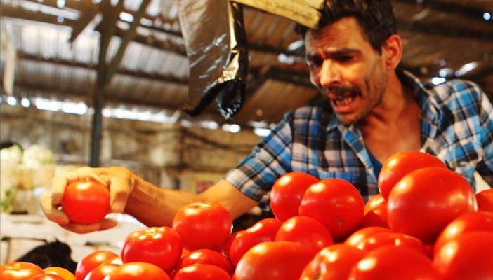 على غرار “بلاها لحمة”.. تدشين حملة “بلاها طماطم”