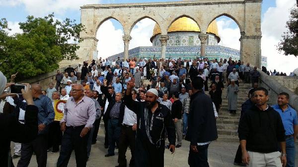 صور | الصهاينة يواصلون اقتحام الأقصى وسط دفاع من المصلين