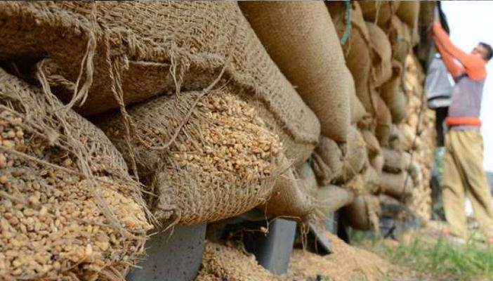 التموين : الاحتياطي الإستراتيجي من القمح يكفي حتى أوائل أبريل المقبل