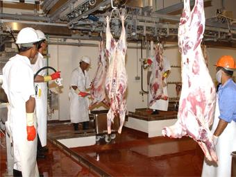 بالفيديو.. غلق مذبح بفرنسا للتعامل الوحشي مع الحيوانات