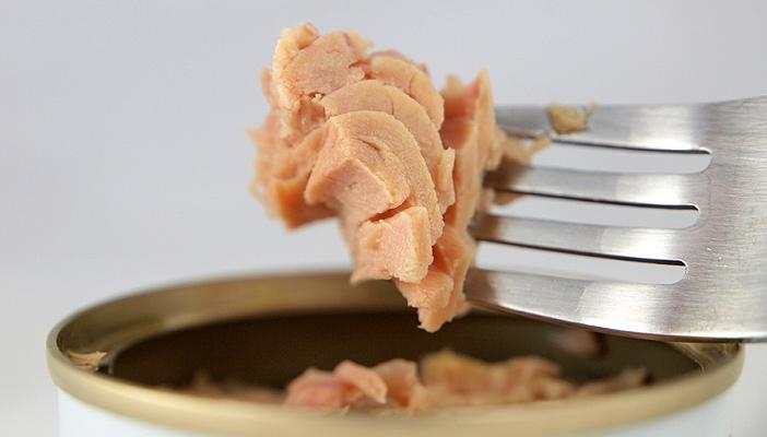 دراسة : التونة تساهم فى مكافحة سرطان الثدى