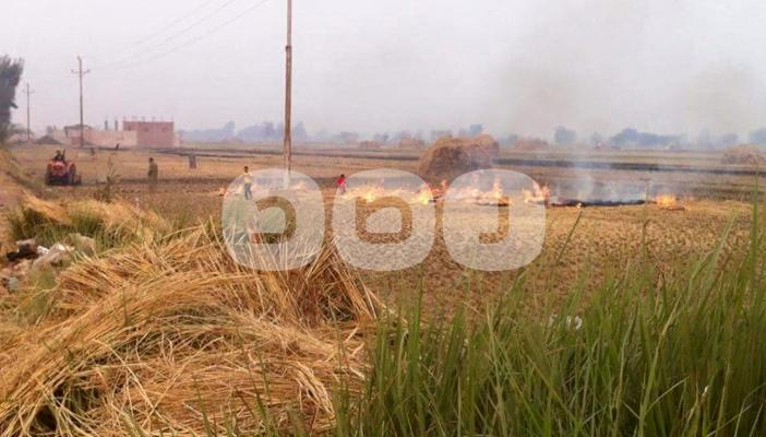 بالصور .. السحابة السوداء تغطي سماء الشرقية