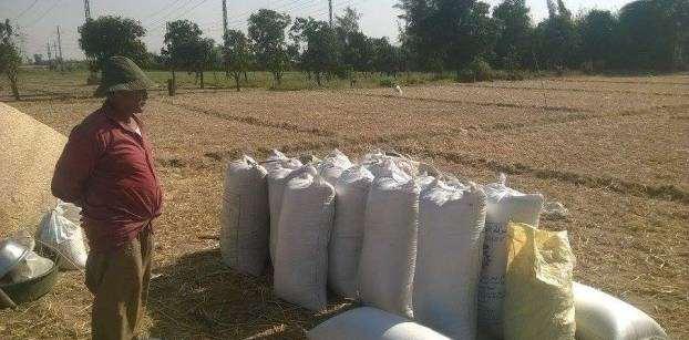 بعد اضطراب دام 6 أشهر.. مصر تستورد 120 ألف طن قمح روسي